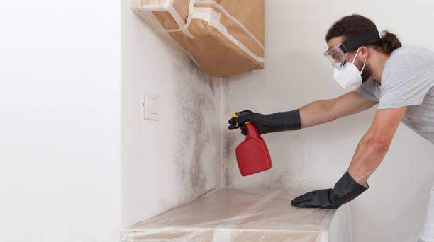 Professional Crawl Space Mold Remediation technician working in Falcon, NC